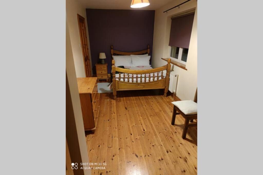 Willa Townhouse 3 Barrow Lane Bagenalstown Zewnętrze zdjęcie