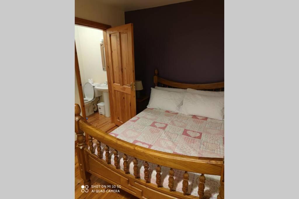 Willa Townhouse 3 Barrow Lane Bagenalstown Zewnętrze zdjęcie